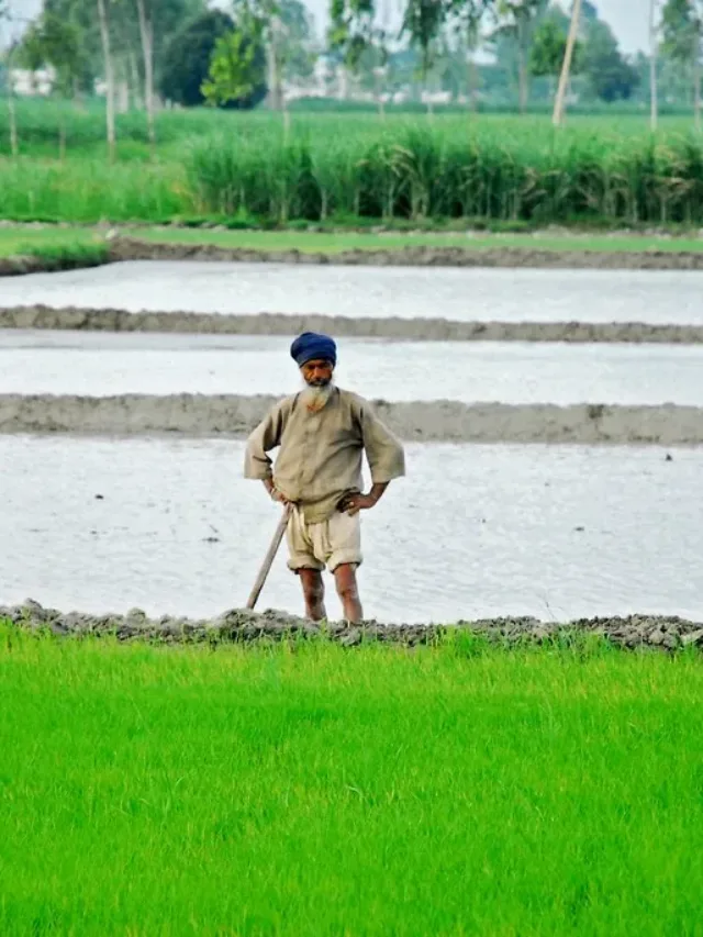 इस दिन जारी होगी पीएम किसान सम्मन निधि योजना की किस्त